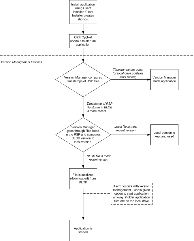 Version Management Process